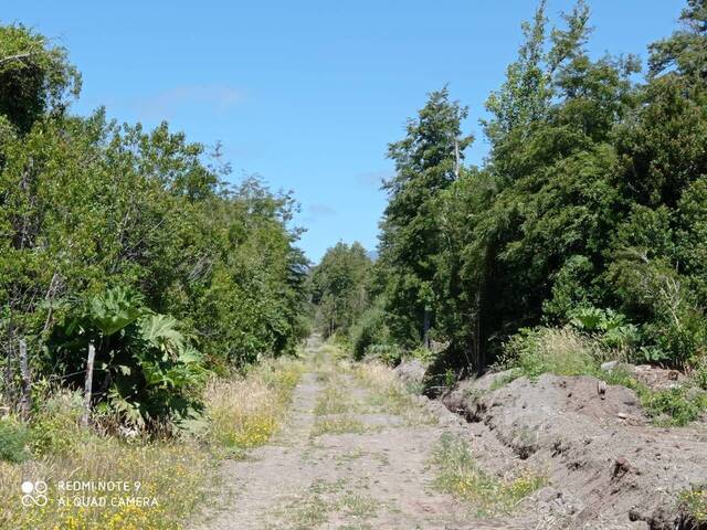 #4 - Área para Venta en Puerto Varas - X